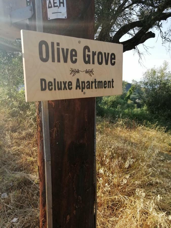 Olive Grove Deluxe Apartment Agnitsini Ngoại thất bức ảnh
